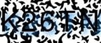 grafischer Sicherheitscode