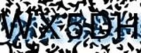 grafischer Sicherheitscode