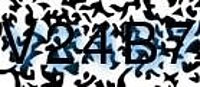 grafischer Sicherheitscode