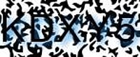 grafischer Sicherheitscode