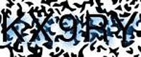 grafischer Sicherheitscode